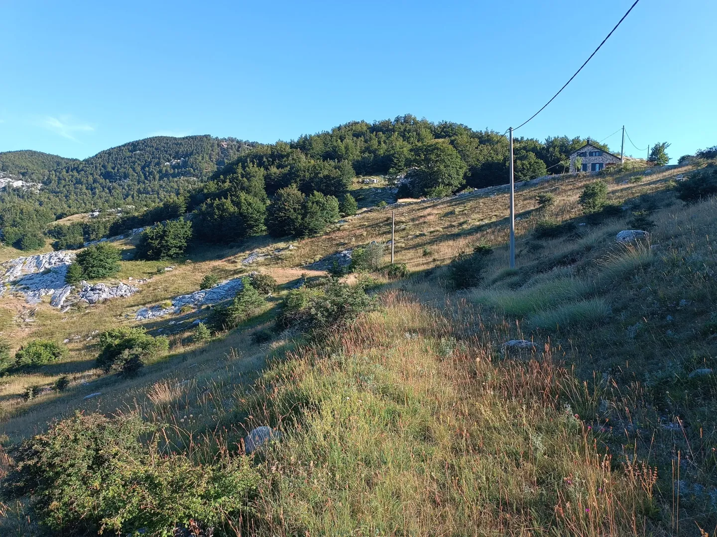 Prodaja, plac, 9000m², Ivanova Korita, Cetinje