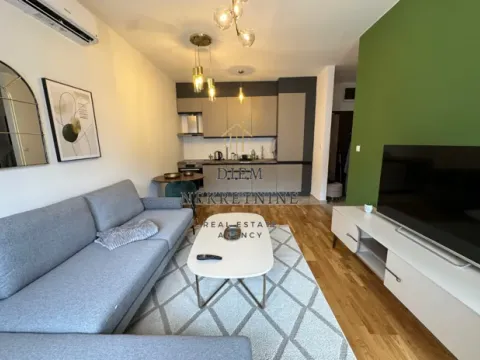 Rent, one bedroom apartment, 45m², Zabjelo, Podgorica - image 8