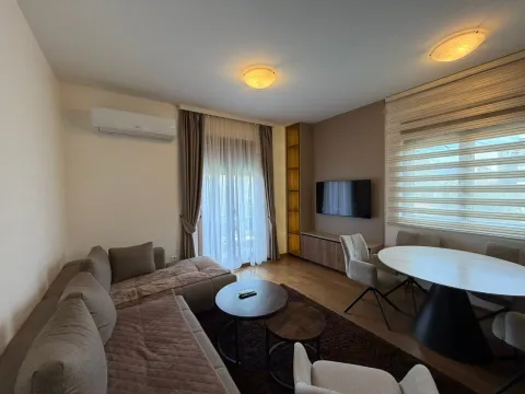 Rent, one bedroom apartment, 45m², Vezirov Most, Podgorica - image 4