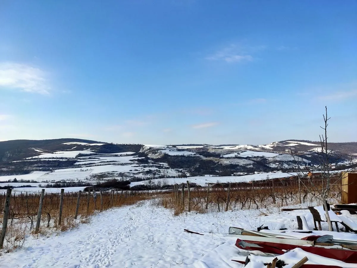 Prodaja, plac, 300m², Beočin, Srbija