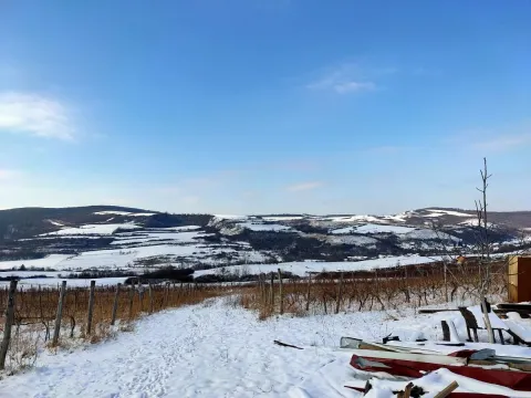 Prodaja, plac, 300m², Beočin, Srbija - image 8