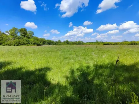 Prodaja, plac, 5500m², Draževac, Obrenovac - image 2