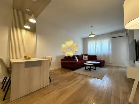 Izdavanje, jednosoban stan, 50m², Central Point, Podgorica - image 8