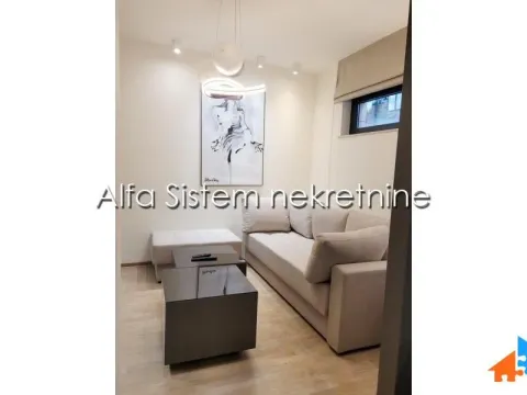 Izdavanje, dvosoban stan, 60m², Savski Venac, Beograd - image 3