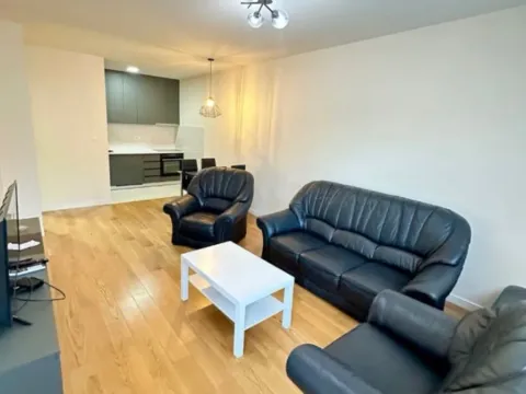 Izdavanje, jednosoban stan, 50m², Central Point, Podgorica