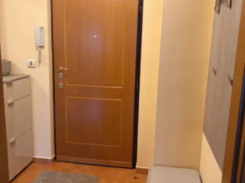 Izdavanje, jednosoban stan, 47m², Preko Morače, Podgorica - image 6