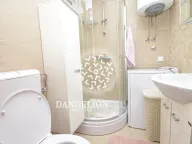 Izdavanje, jednosoban stan, 55m², Preko Morače, Podgorica - image 12