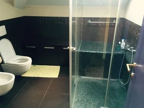 Izdavanje, kuća, 300m², Savski Venac, Beograd - image 9