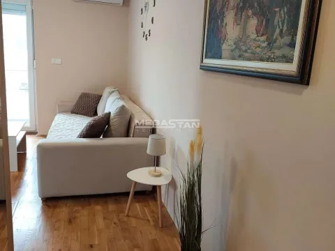 Rent, two bedroom apartment, 40m², Ledine, Beograd - image 18