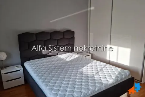 Rent, two bedroom apartment, 68m², Novi Beograd Blok 67, Novi Beograd Sve Podlokacije - image 6