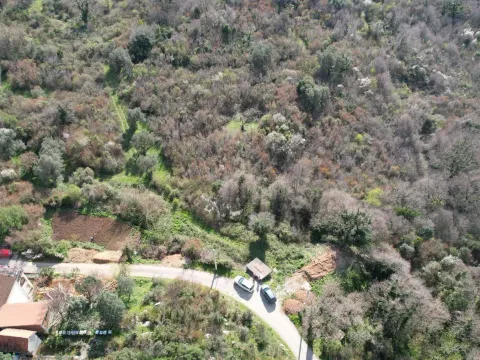 Sale, land lot, 40000m², Buljarica, Budva - image 2