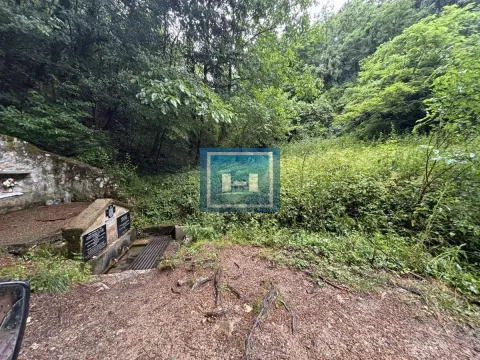 Prodaja, kuća, 20m², Kalenovac, Jagodina - image 12