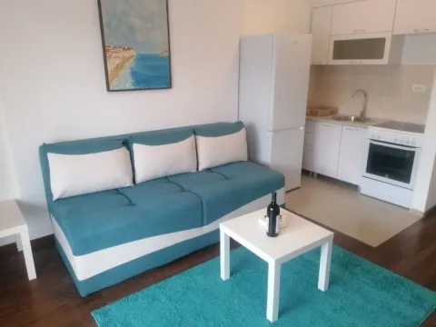 Izdavanje, garsonjera, 29m², Master Kvart, Podgorica - image 4
