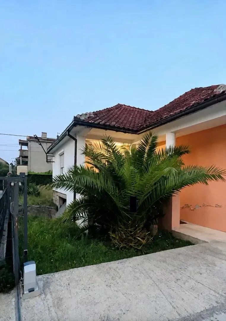 Dvorište porodične kuće sa palmom i ulazom.