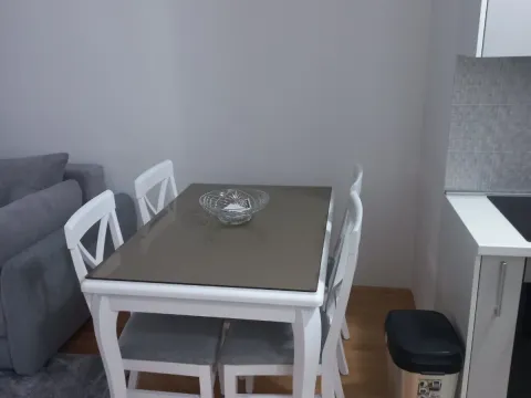 Izdavanje, jednosoban stan, 38m², Stari Aerodrom, Podgorica - image 8