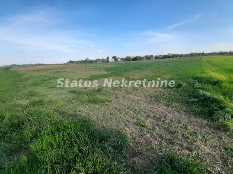 Prodaja, plac, 2600m², Kovilj, Novi Sad Sve Podlokacije