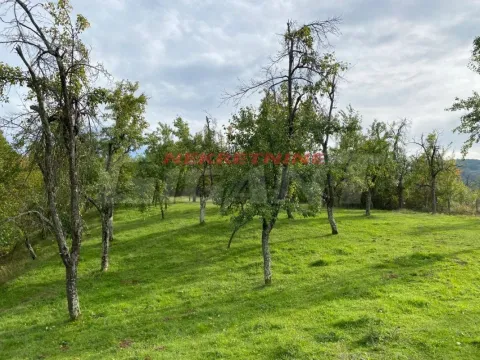 Prodaja, plac, 20000m², Lipova, Vrnjačka Banja - image 8