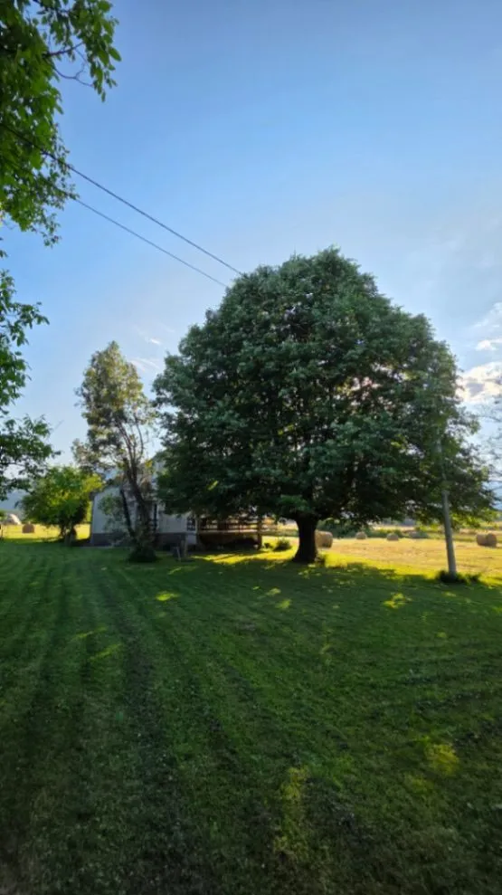 Prodaja, plac, 6000m², Ćurilac, Danilovgrad