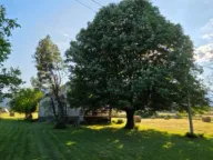 Prodaja, plac, 6000m², Ćurilac, Danilovgrad - image 6