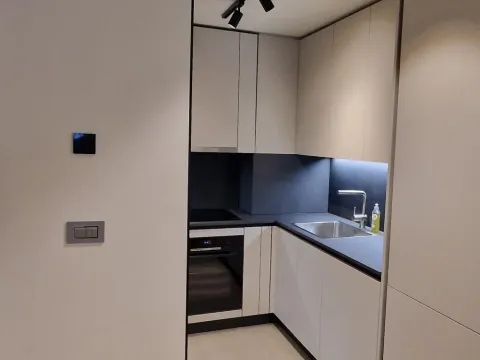 Izdavanje, dvosoban stan, 56m², Novi Beograd Blok 65, Novi Beograd Sve Podlokacije - image 9