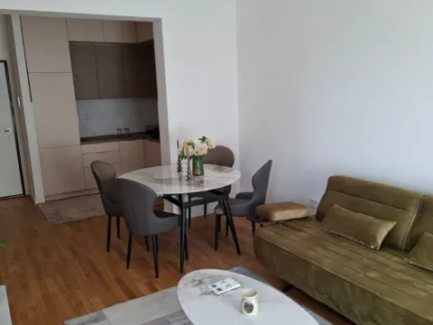 Izdavanje, jednosoban stan, 45m², Stari Aerodrom, Podgorica - image 12