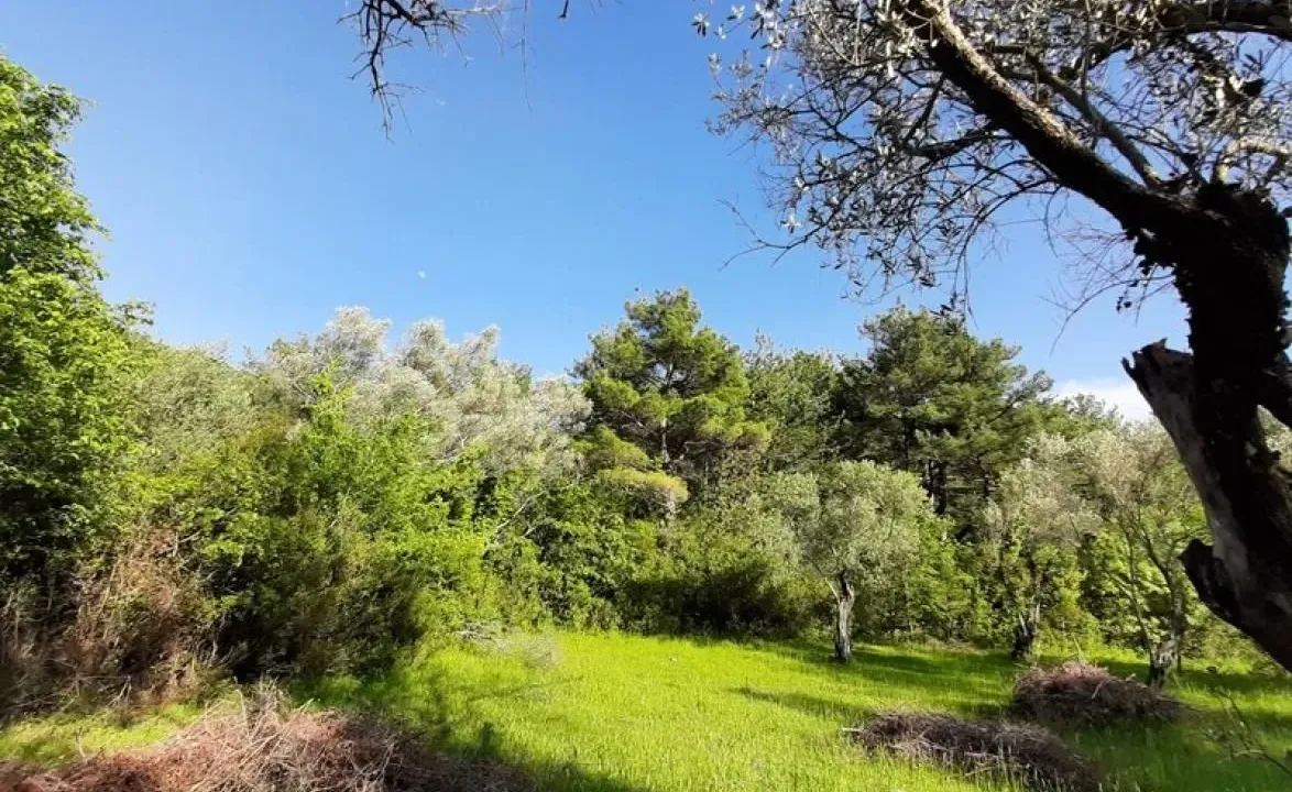 Sale, land lot, 600m², Tivat, Crna Gora