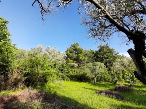 Sale, land lot, 600m², Tivat, Crna Gora