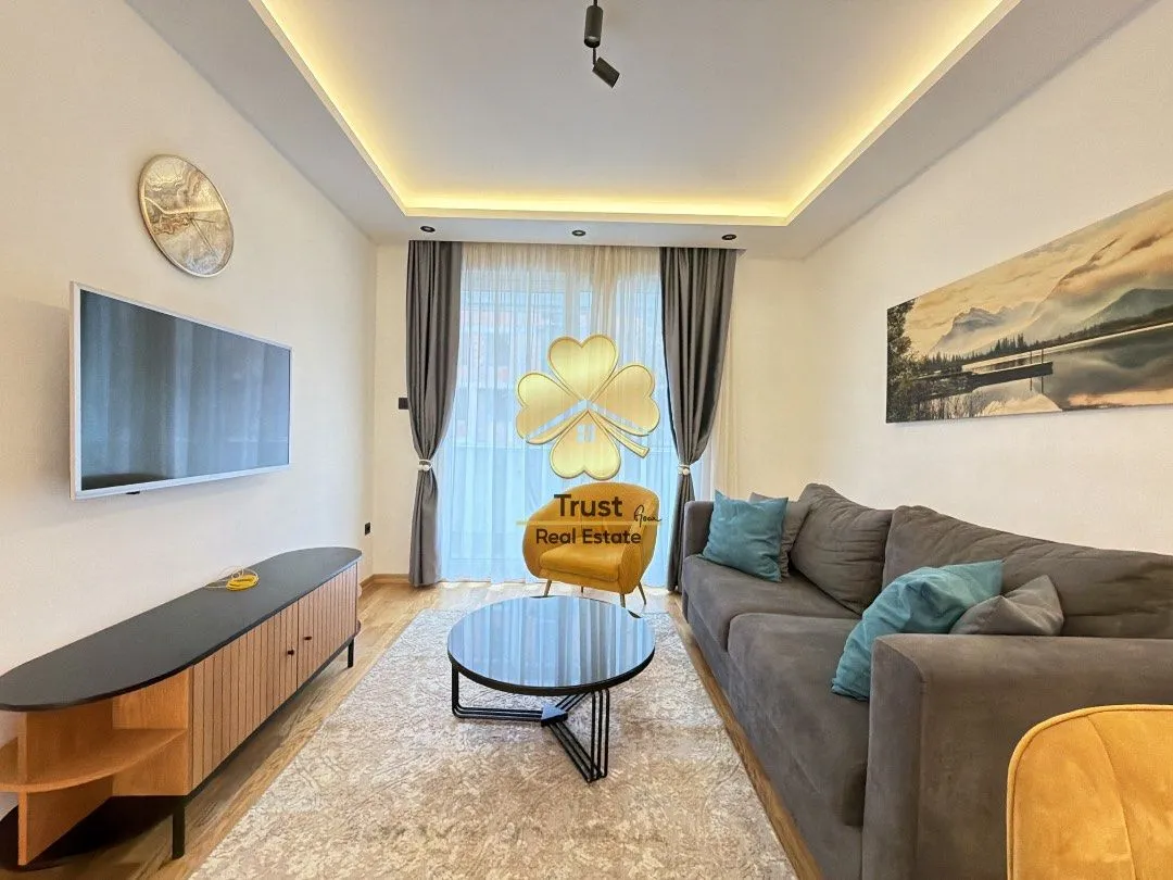 Izdavanje, jednosoban stan, 50m², Preko Morače, Podgorica