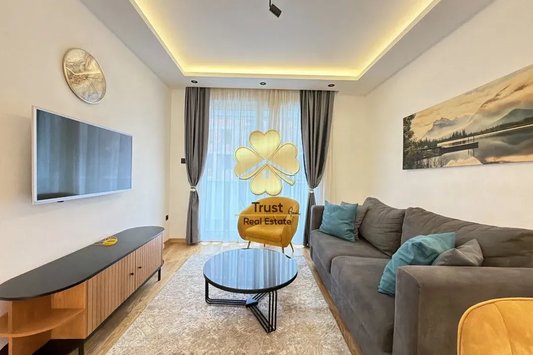 Izdavanje, jednosoban stan, 50m², Preko Morače, Podgorica