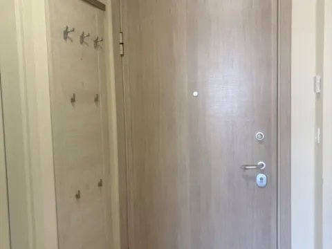 Izdavanje, jednosoban stan, 50m², Central Point, Podgorica - image 9