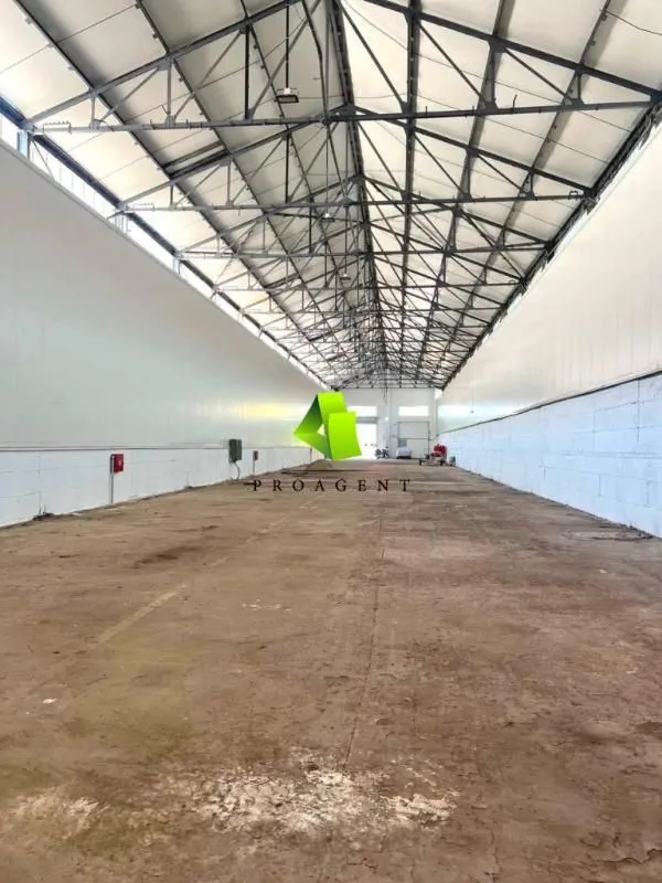 Izdavanje, poslovni prostor, 1150m², Medijana, Niš