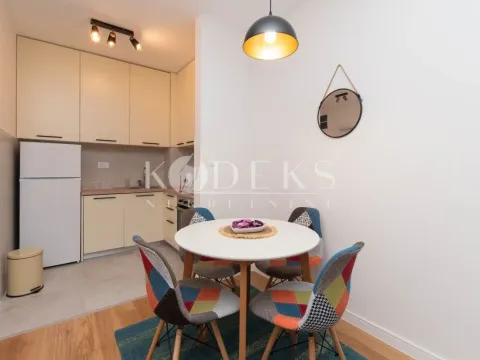 Izdavanje, jednosoban stan, 39m², Central Point, Podgorica - image 16