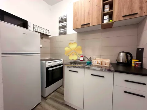 Izdavanje, jednosoban stan, 40m², Gornja Gorica, Podgorica - image 3