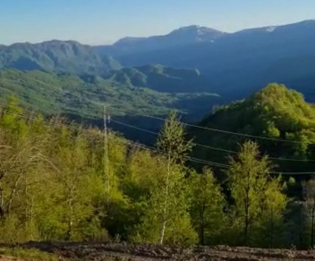 Prodaja, plac, 22000m², Kolašin, Crna Gora