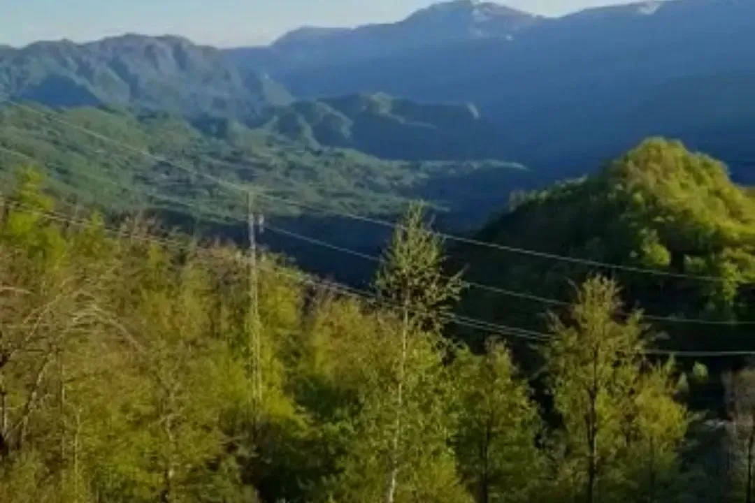 Prodaja, plac, 22000m², Kolašin, Crna Gora