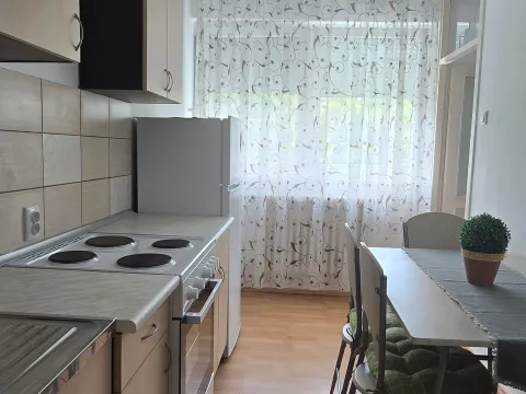Rent, one bedroom apartment, 34m², Strelište, Pančevo - image 19