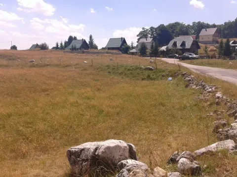 Prodaja, plac, 806m², Motički gaj, Žabljak - image 2