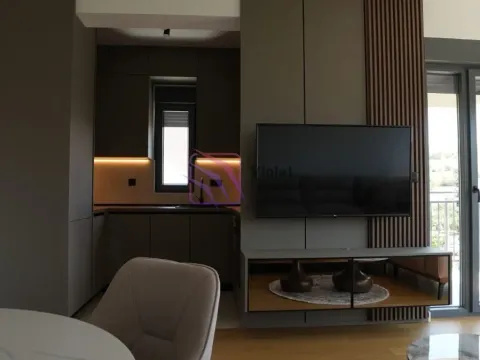 Izdavanje, jednosoban stan, 47m², Dalmatinska ulica, Podgorica - image 34