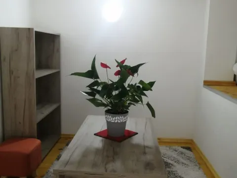 Sale, one bedroom apartment, 28m², Sutomore, Bar - image 18