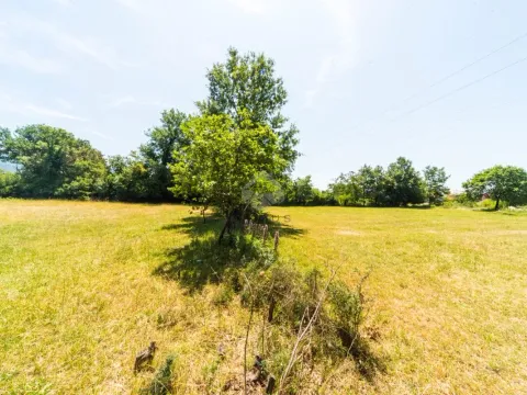Sale, land lot, 1000m², Martinići, Danilovgrad - image 4