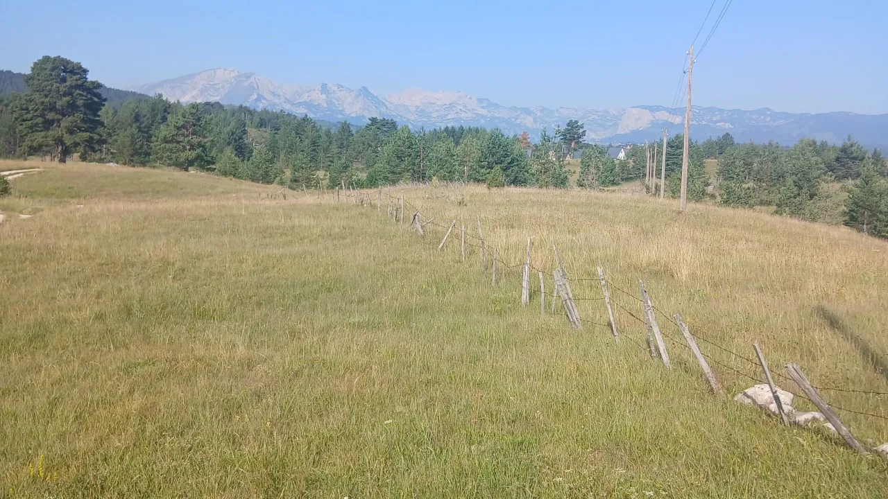 Prodaja, plac, 3000m², Borje, Žabljak