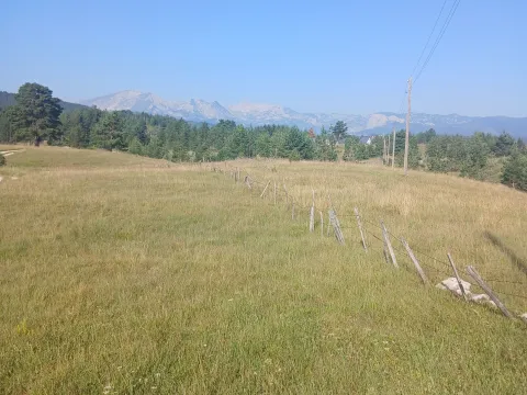 Zemljište in Borje