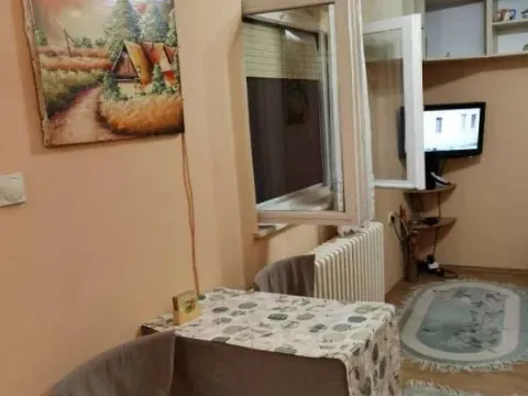 Izdavanje, garsonjera, 25m², Jodna Banja, Novi Sad Sve Podlokacije - image 8