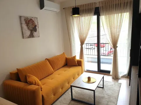 Rent, studio apartment, 25m², Mažina, Tivat - image 10