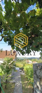 View of the courtyard and surroundings through a grapevine canopy. - image 18