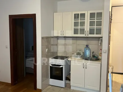 Rent, one bedroom apartment, 42m², Ljubović, Podgorica - image 4
