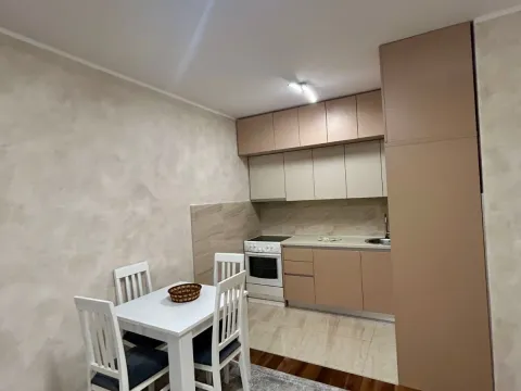 Izdavanje, jednosoban stan, 47m², Zabjelo, Podgorica - image 2