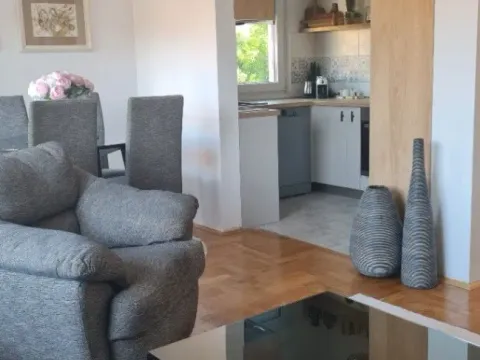 Izdavanje, jednosoban stan, 48m², Cetinje, Crna Gora - image 13