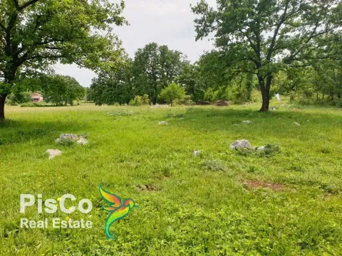 Prodaja, plac, Danilovgrad, Crna Gora - image 5