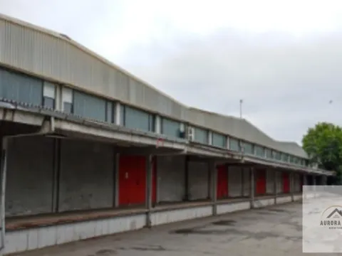 Izdavanje, poslovni prostor, 12000m², Klisa, Novi Sad Sve Podlokacije